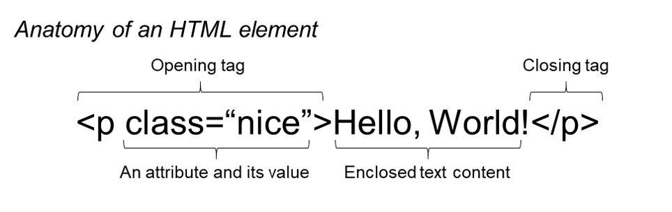 Anatomy of an HTML element